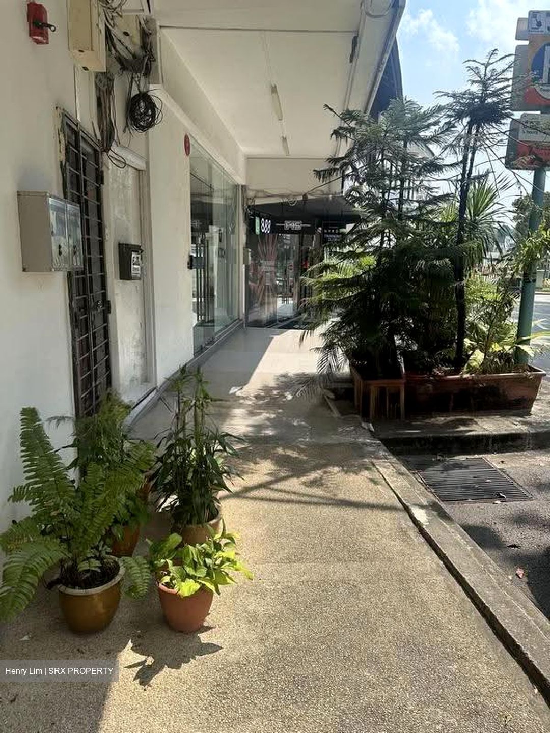 Sembawang Hills Estate (D20), Shop House #624998621